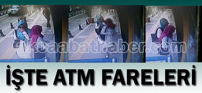 te ATM Fareleri
