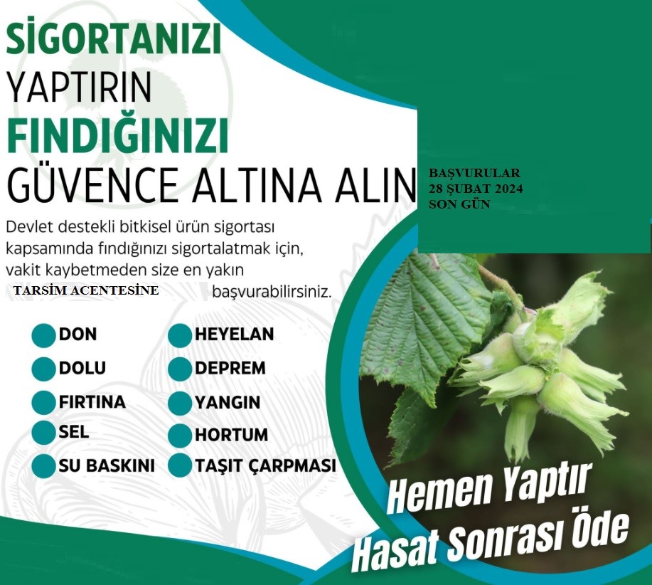' ŞUBAT AYINDA FINDIK BAHÇELERİ İLE İLGİLİ YAPILMASI GEREKEN İŞLEMLER'