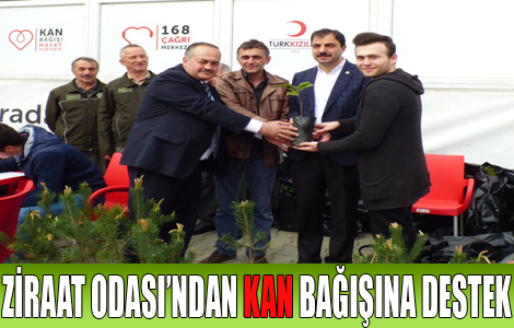 KAN VER YAAM AACIN YEERSN

