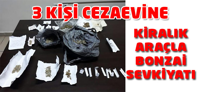 3 Bonzaici Tutukland