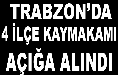 4 İlçe Kaymakamı Fetö Operasyonu Kapsamında Açığa Alındı