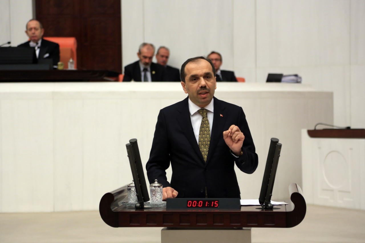 4 NSAN DNYA SOKAK HAYVANLARI GN

