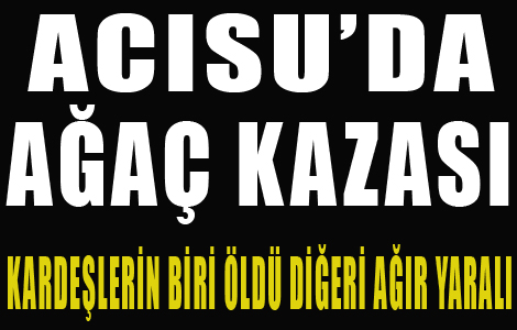 Acısu'da ağaç kazası