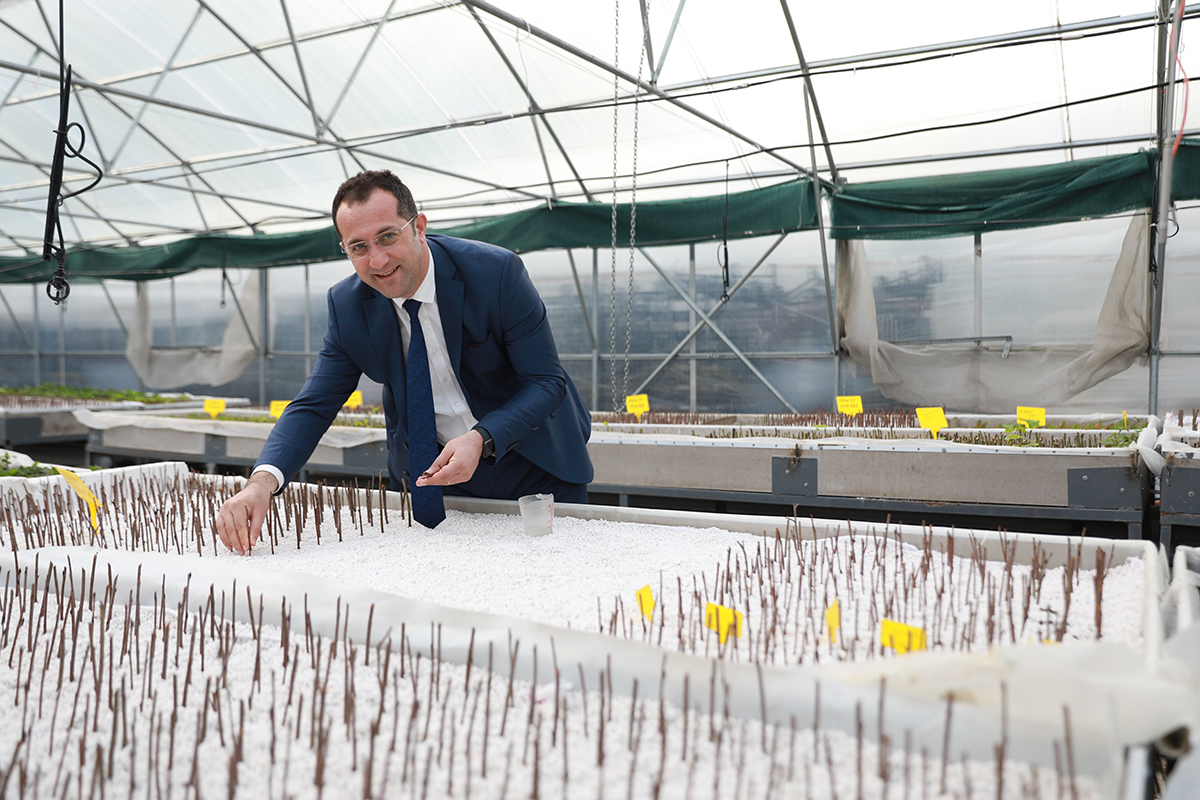 AKAABAT ARONYANIN MERKEZ OLACAK

