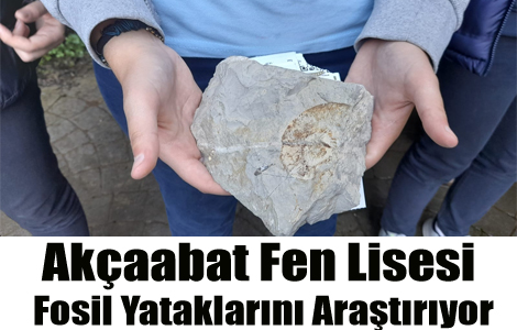 Akaabat Fenden Aratrma

