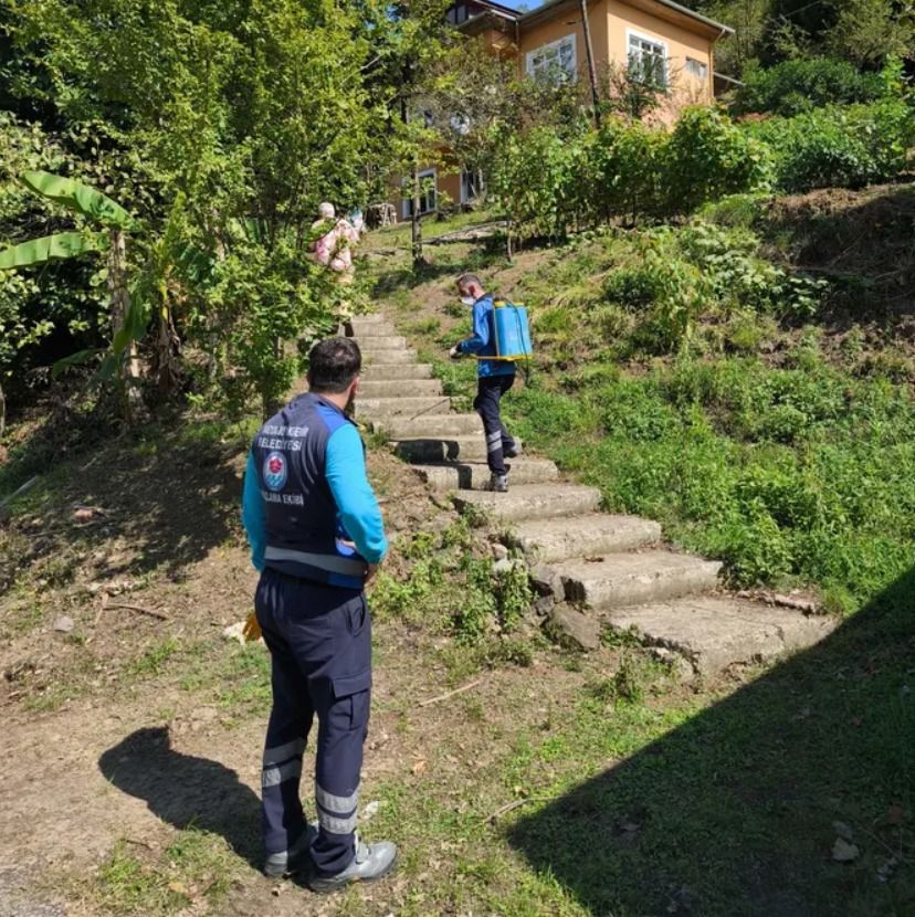 Akçaabat mahalle mahalle ilaçlanıyor