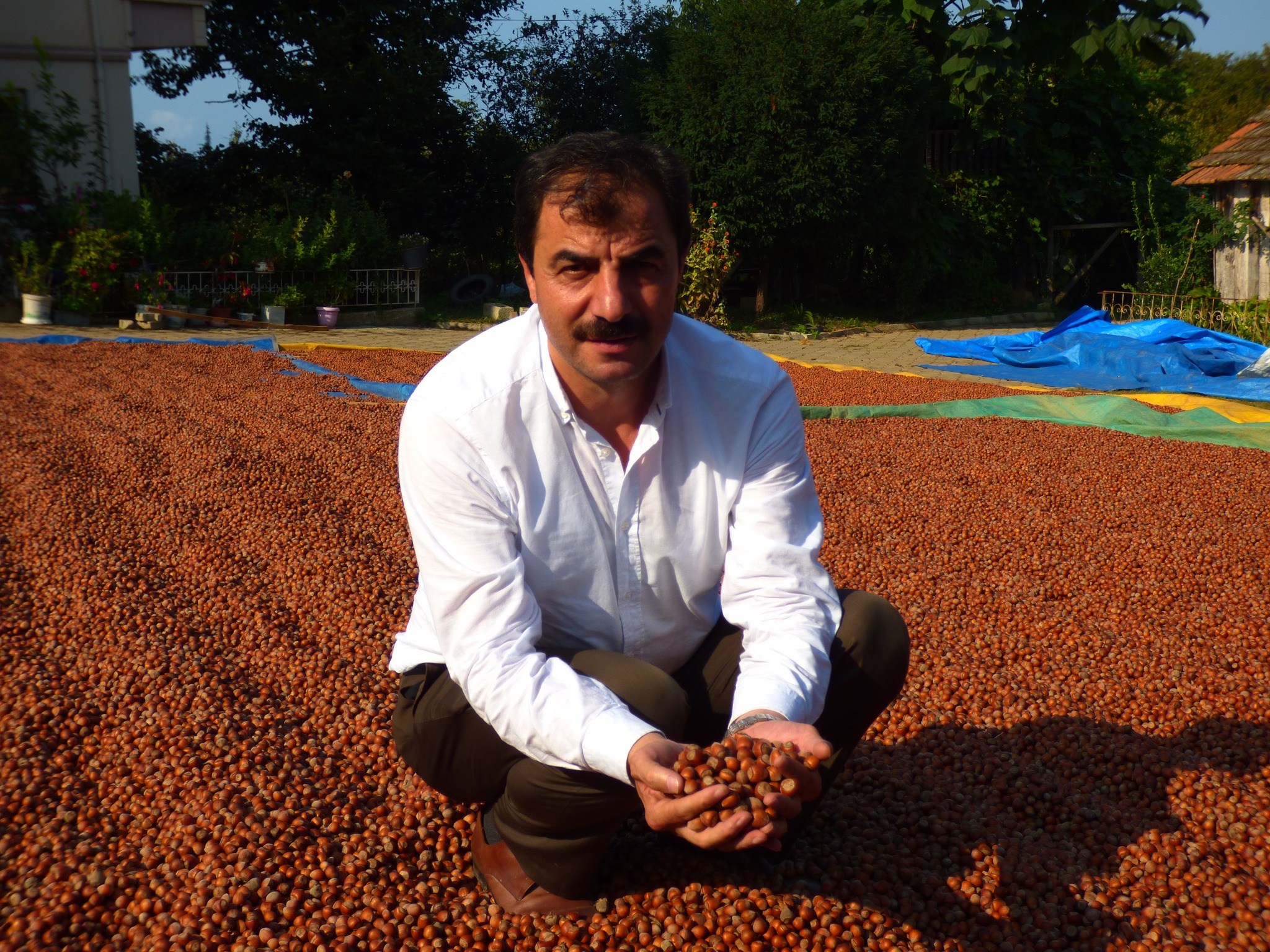 AKÇAABAT ZİRAAT ODASI BAŞKANLIĞININ 2023 YILI FINDIK ALIMI FİYAT BEKLENTİSİ