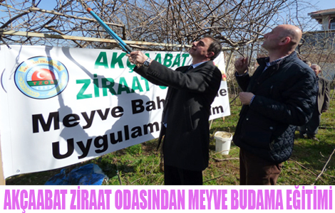 Akçaabat Ziraat Odasından Meyve Budama Eğitimi.