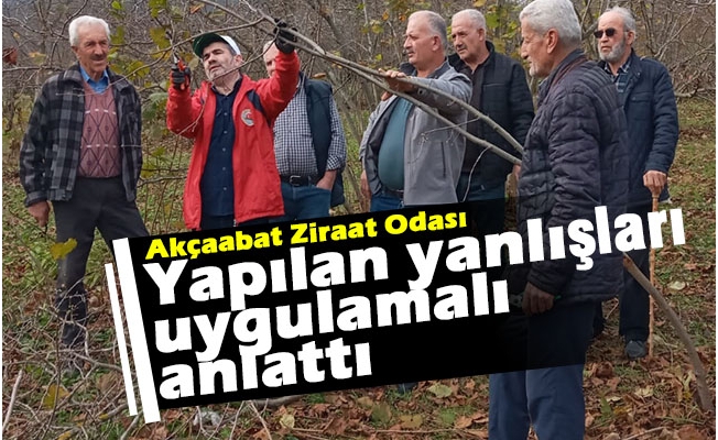Akçaabat Ziraat Odasından Üreticilere Fındıkta Budama Eğitimi