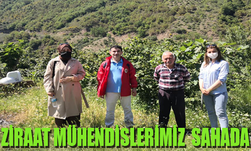 Akçaabat Ziraat Odası’nın Ziraat Mühendisleri Sahada
