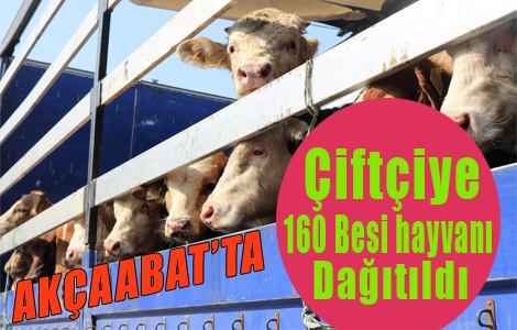 Akaabatl iftiye 160 Besi Hayvan Datld.
