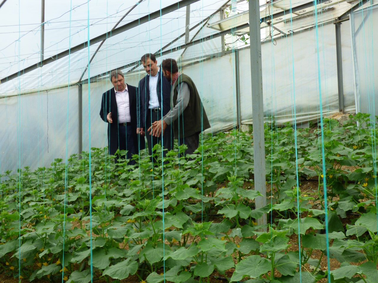 Akçaabat'ta Örnek Çiftçi Ailesi