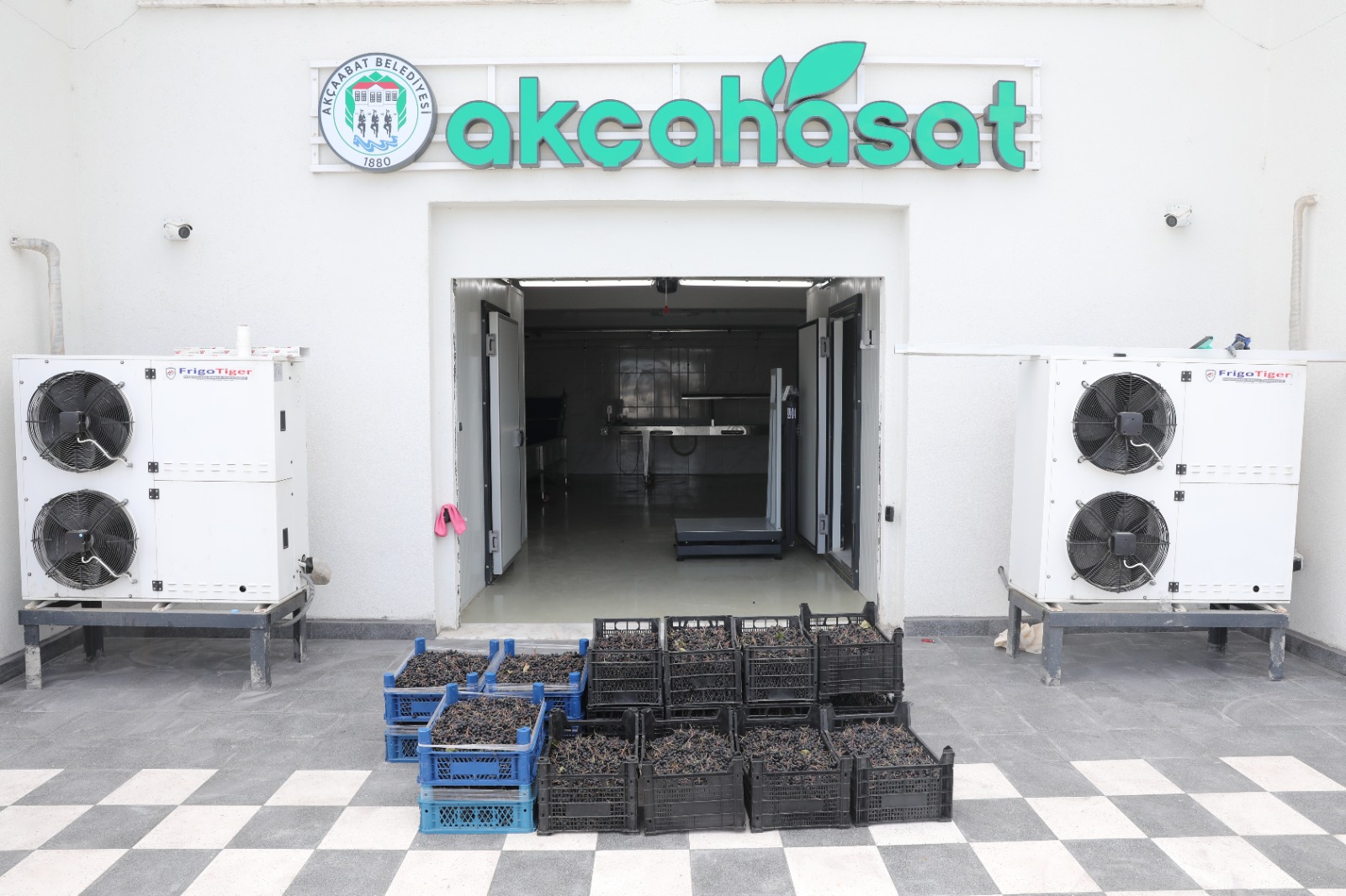 AKÇAHASAT TESİSİNDE ÜRÜN ALIMLARI DEVAM EDİYOR