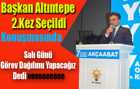 ALTINTEPE GVEN TAZELED