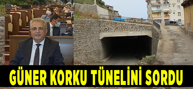 Aslan Güner Korku Tünelini Sordu