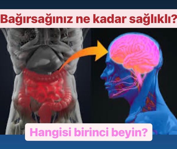 Bağırsağınız ne kadar sağlıklı?