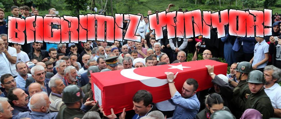 Barmz Yanyor. 