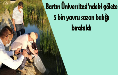 Bartın Üniversitesi’ndeki gölete 5 bin yavru sazan balığı bırakıldı