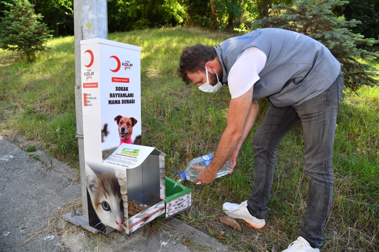 Başkan Genç’ten, “Sokak hayvanları unutmayın!”uyarısı