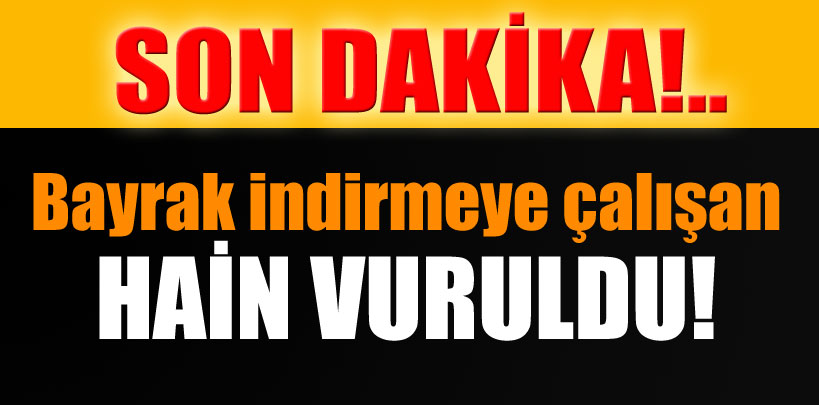 Bayrak indiren vuruldu!
