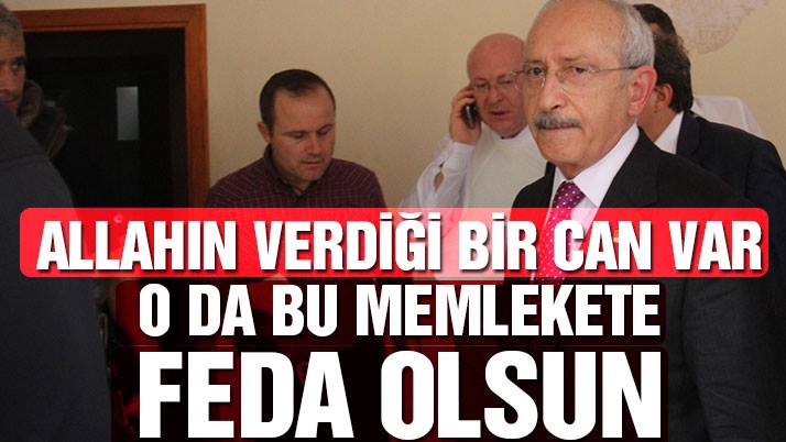 Bir canım var o da milletime feda olsun
