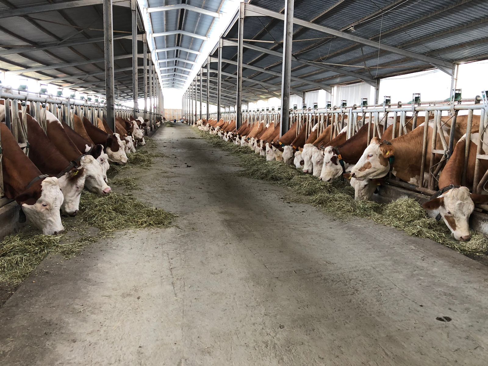 BU PROJE ÖRNEK OLACAK