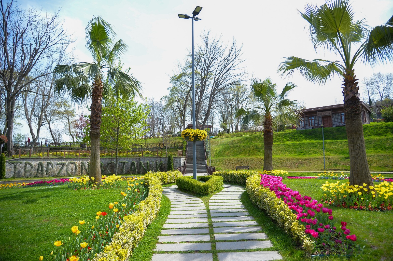 BÜYÜKŞEHİR'DEN DAHA YEŞİL TRABZON ATAĞI