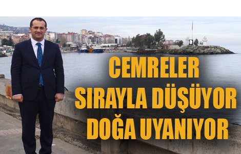 CEMRELER SIRAYLA DÜŞÜYOR DOĞA UYANIYOR