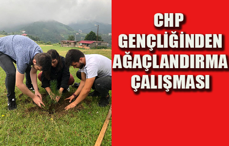 CHP'Lİ GENÇLER AĞAÇLANDIRIYOR.