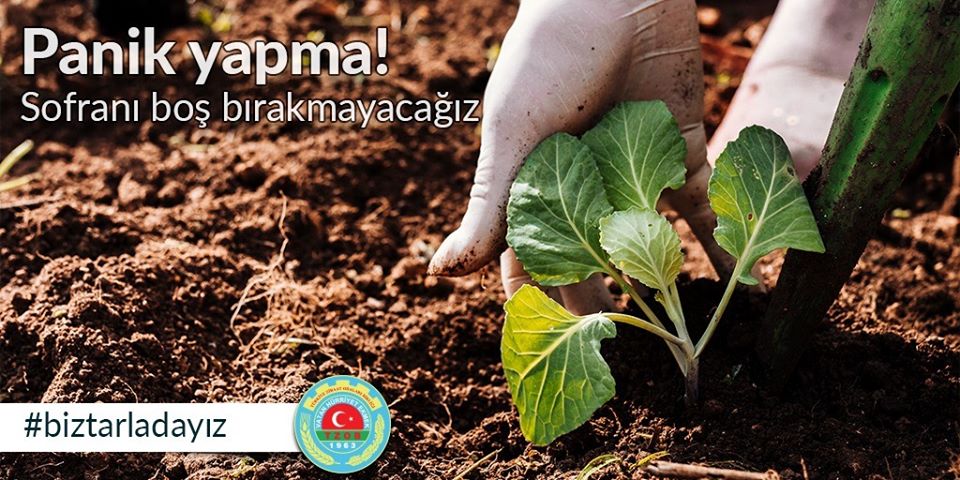 iftilerimizin ylan hikayesine dnen ecrimisil sorunu zld.