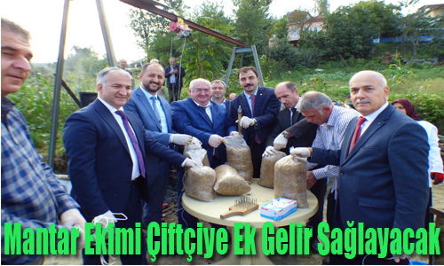 iftilerin Yeni Gelir Kaps stiridye Mantar

