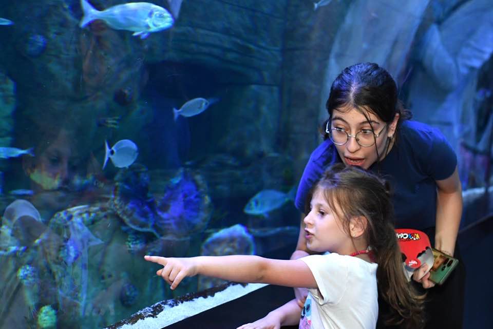 OCUKLAR, TNEL AKVARYUMDAK ETKNLKTE GNLLERNCE ELEND
