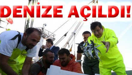 DAVUTOLU DENZE AILDI!
