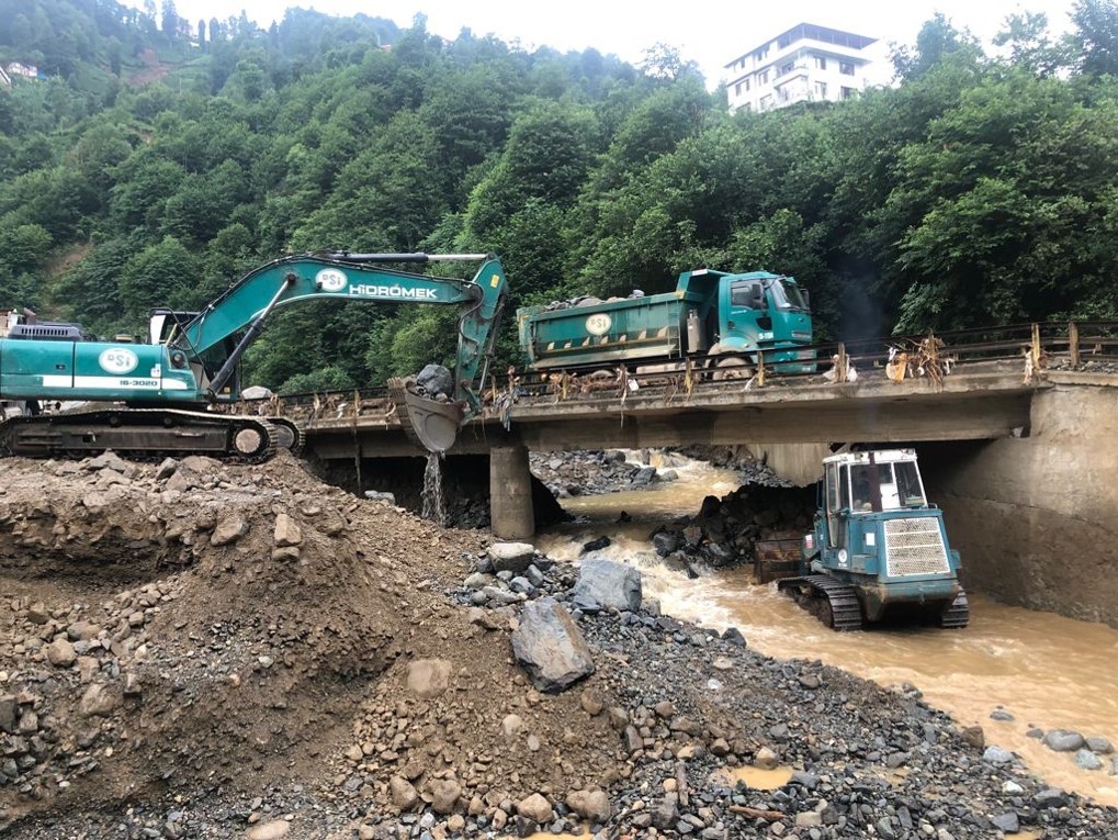 DOĞU KARADENİZ’İN YEŞİL KARINCALARI!