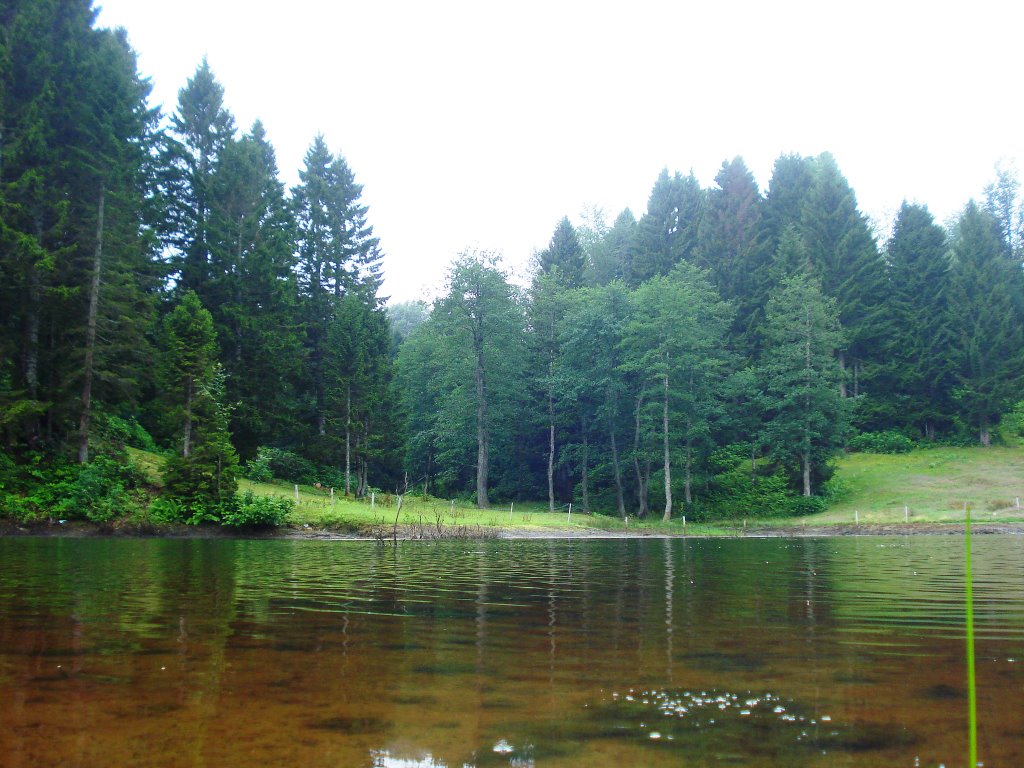 DSİ’DEN TRABZON VE GİRESUN’A GÖLET MÜJDESİ