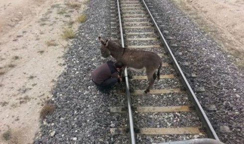 Eei raylara balayp lme terk ettiler
