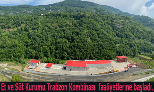 Et ve Süt Kurumu Trabzon Kombinası depolama faaliyetlerine başladı.