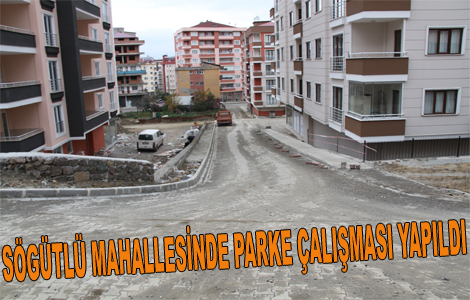 Fen ileri mdrl almalarn Srdryor.