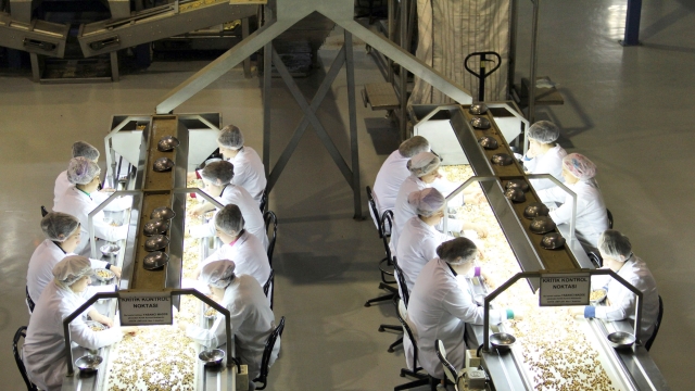 Fndk Seme Eleman Kursu Balyor
