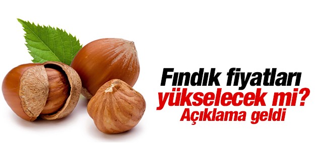 Fındık üreticisinde fiyatların yükseleceği beklentisi