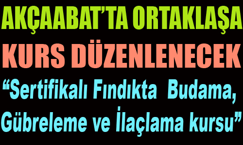 Fındıkta Eğitime Devam