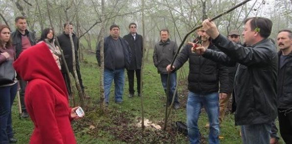 Fındıkta verimlilik eğitimi