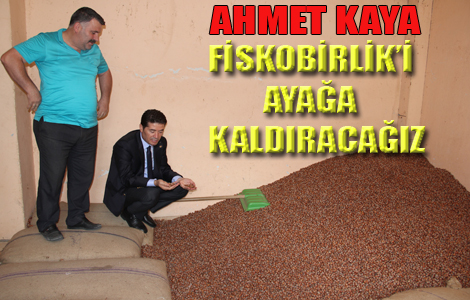 FİSKOBİRLİK’İ AYAĞA KALDIRACAĞIZ