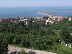 Giresun - Ordu tek il olsa ne olur? 