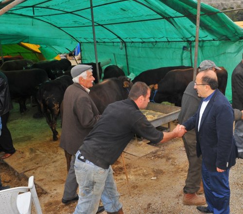 Gmrkolu Kurban Sat Yerinde