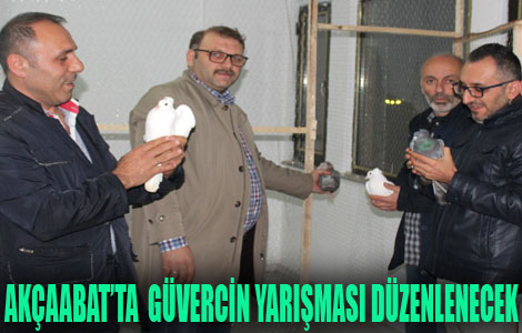 Gvercin yarmas 30 kasmda

