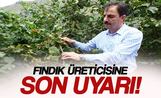 Hasat Öncesi Fındık Üreticisine Son Uyarı
