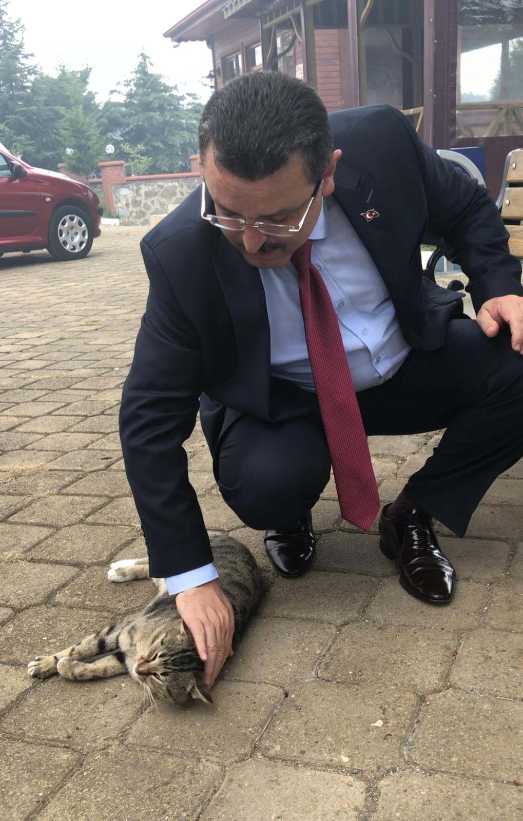 “Hiçbir sokak hayvanı aç kalmıyor”