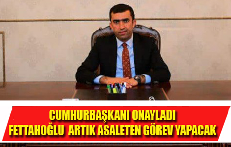 L MLL ETM MDR ARTIK ASALETEN