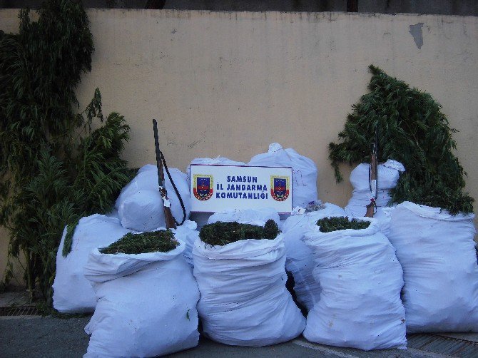 Jandarmanın Asayiş Uygulamaları